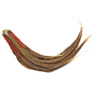 Veniard Ocas ze Zlatého Bažanta Golden Pheasant Complete Tail Grouse Whole Wings