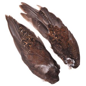 Veniard Křídla z Tetřeva Hlušce Grouse Whole Wings 2ks