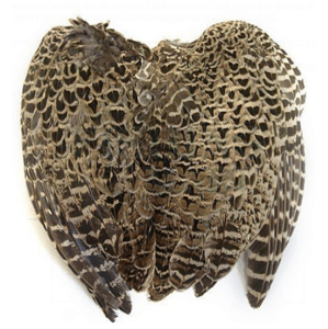 Veniard Kžídla z Bažantí Slepice Hen Pheasant Wings 2ks