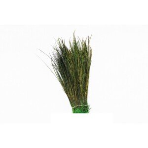 Veniard Paví Peří Peacock Herl Green