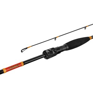 Delphin Prut Bang! NXT 2,4m 10-30g 2-díl