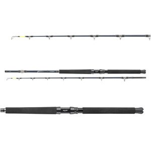 Daiwa Prut Tanacom Ultra Deep 2,1m 400-1000g 2-díl