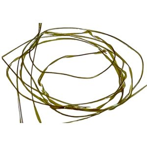 Tommi-Fly Body Quill Ultra UV Brown Olive