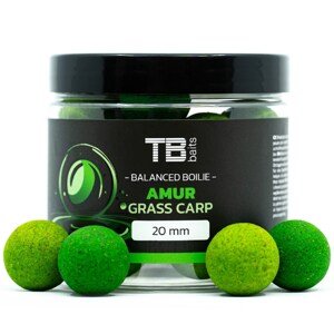 TB Baits Vyvážené Boilie Balanced + Atraktor Amur 100g Hmotnost: 100g, Průměr: 20mm