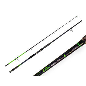 Zfish Prut Catfish Fighter 2,85m 100-300g 2-díl