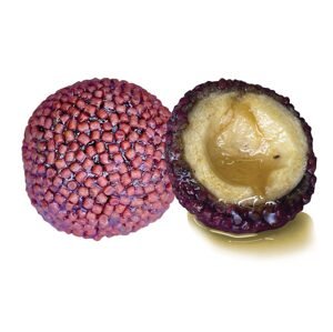 LK Baits Nutrigo Pellets Chilli Halibut - 24mm 250ml