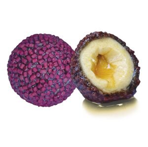 LK Baits Nutrigo Pellets Red Halibut - 24mm 250ml