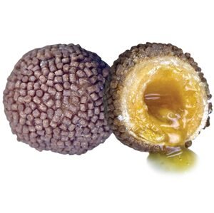 LK Baits Nutrigo Pellets Romadur Halibut - 20mm 200ml