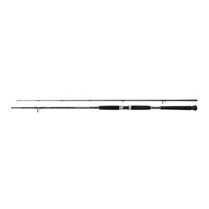 Shimano Prut Beastmaster AX Pilk 2,40m 100-200g