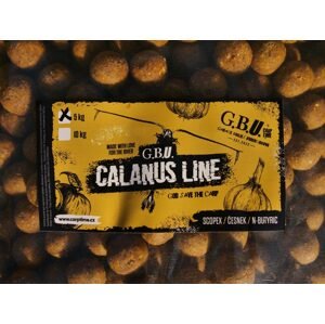 G.B.U. Boilies Calanus Line Scopex/Česnek/N-Butyric - 20mm 5kg