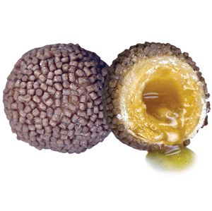 Lk baits boilie nutrigo pellets romadur halibut - 20 mm 200 ml