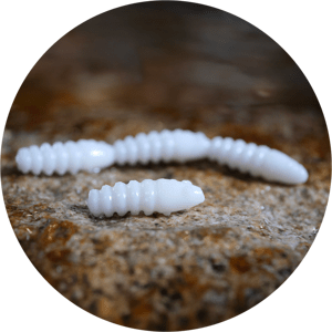 Redbass gumová nástraha trout grub white - 3x16 mm