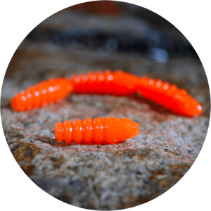 Redbass gumová nástraha trout grub signal orange uv color - 3x16 mm