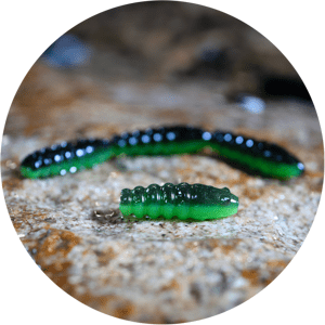 Redbass gumová nástraha trout grub black/green - 3x16 mm