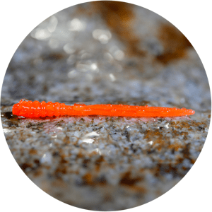 Redbass gumová nástraha micro tail signal orange uv color - s 48 mm