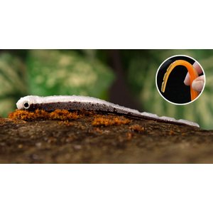 Redbass smáček big snake brown/silver - 20 cm 24,5 g